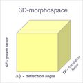 3Dmorphospace1.jpg